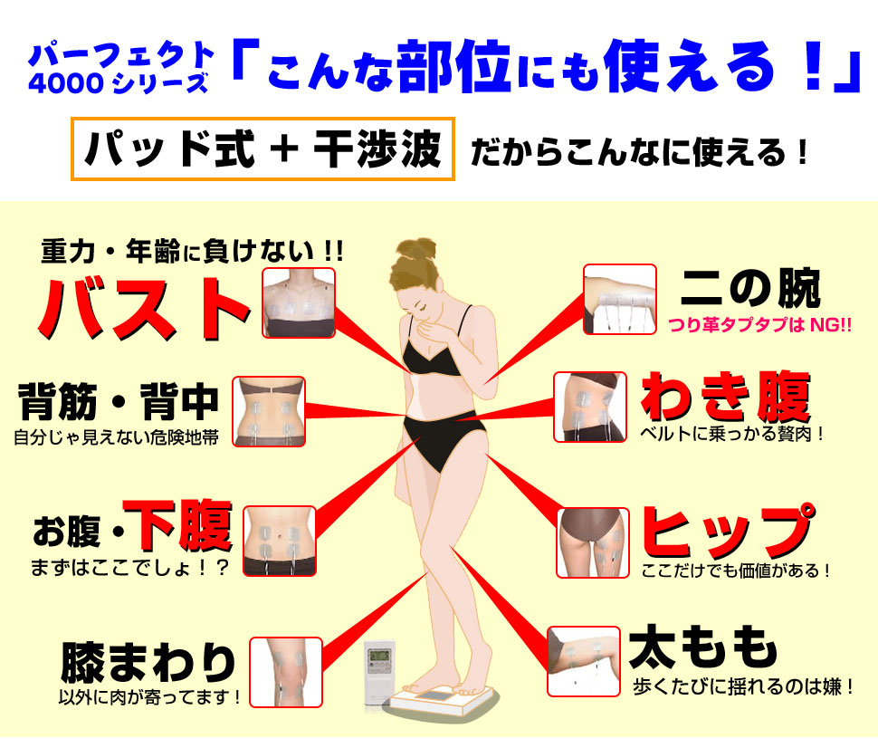 干渉波EMSマシン パーフェクト4500正規店《腹筋からバストまで》
