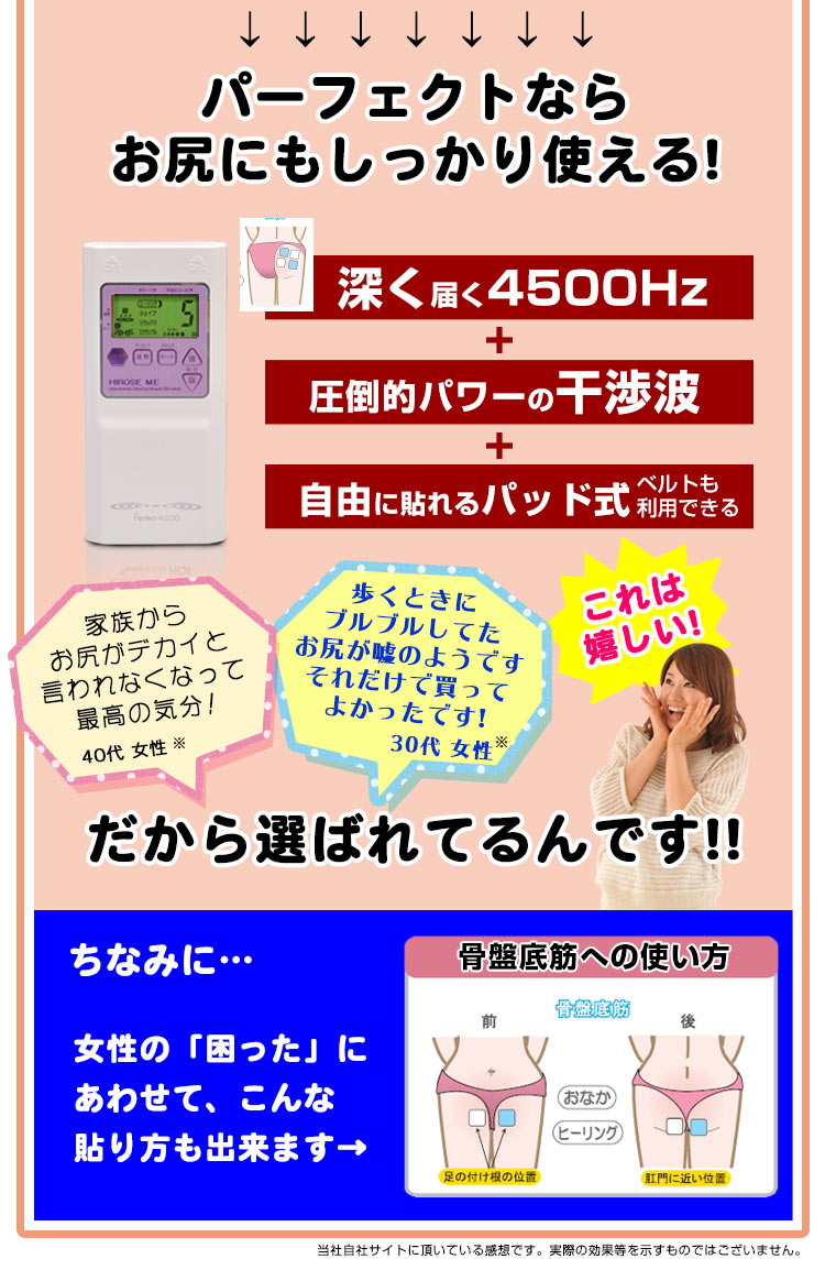 干渉波EMSマシン パーフェクト4500正規店《腹筋からバストまで》