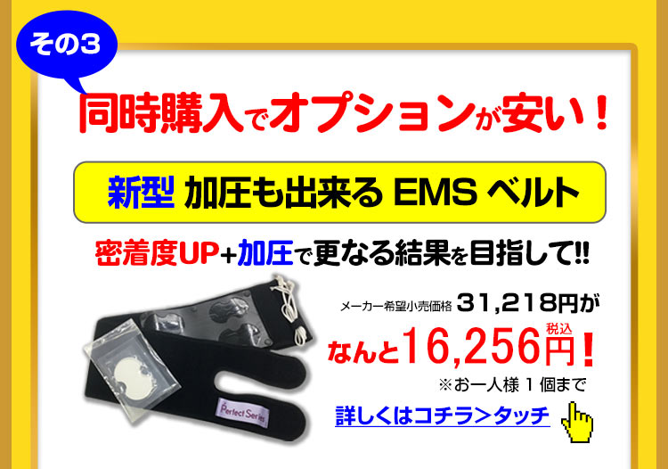 干渉波EMSマシン パーフェクト4500正規店《腹筋からバストまで》