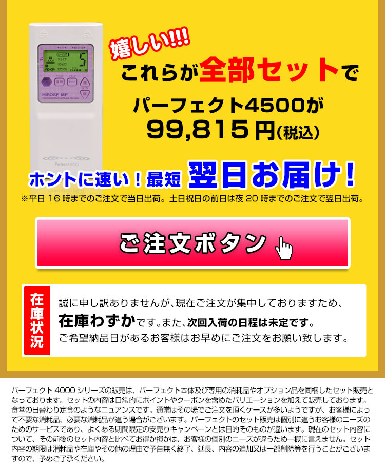 干渉波EMSマシン パーフェクト4500正規店《腹筋からバストまで》